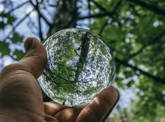 green_ marketing